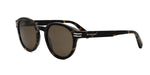 52H - Acetate Shiny Havana with Brown Polarized lenses / 