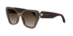 50F - Acetate Shiny Brown with Brown Gradient lenses / 