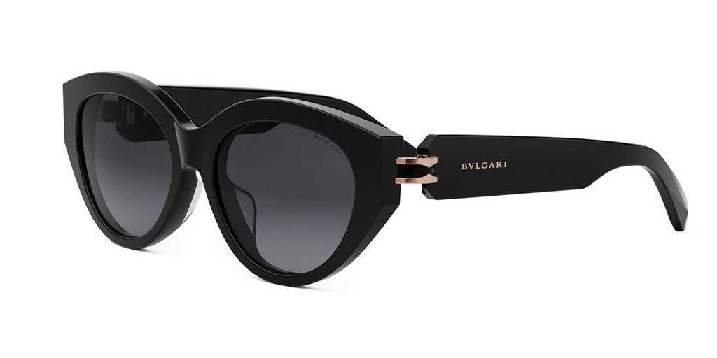 01B - Acetate Shiny Black with Black Gradient lenses