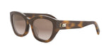 53F - Acetate Shiny Havana with Brown Gradient lenses / 
