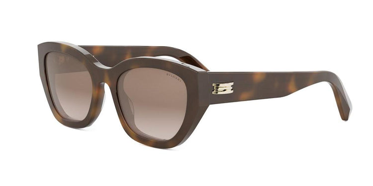 53F - Acetate Shiny Havana with Brown Gradient lenses