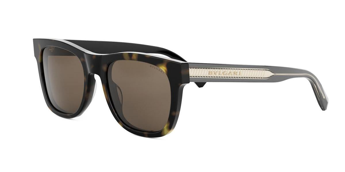52E - Acetate Shiny Havana with Brown Normal lenses