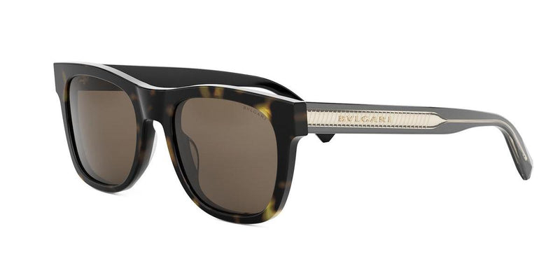 52E - Acetate Shiny Havana with Brown Normal lenses
