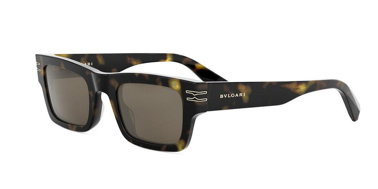 52E - Acetate Shiny Havana with Brown Normal lenses