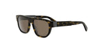 52E - Acetate Matte Havana with Brown Normal lenses / 
