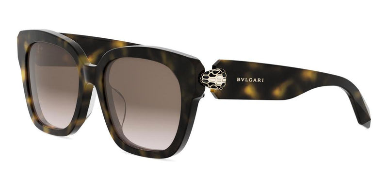 52F - Acetate Shiny Havana with Brown Gradient lenses