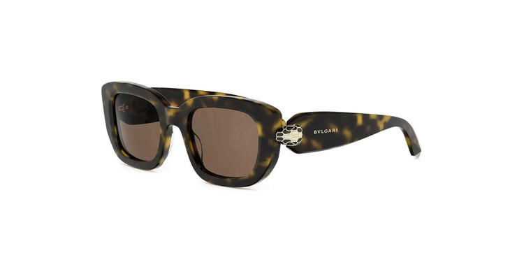 52E - Acetate Shiny Havana with Brown Normal lenses