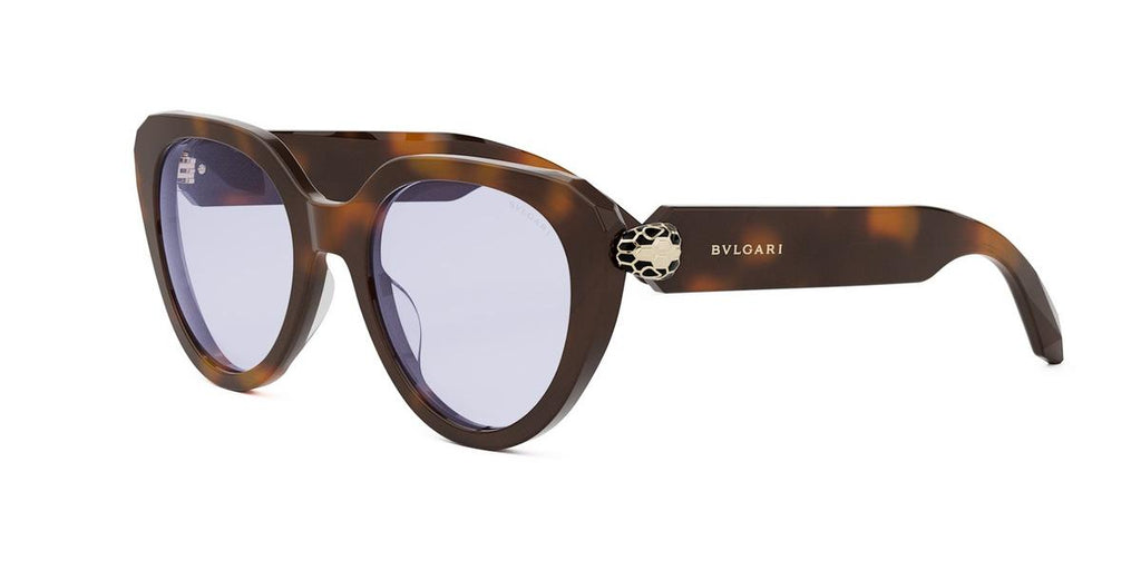 053 - Acetate Shiny Havana