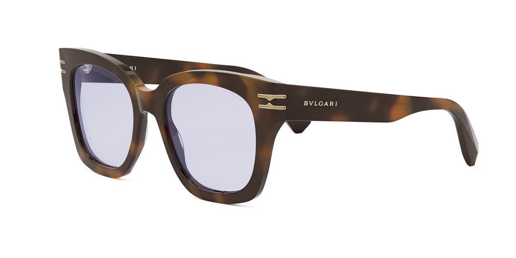 053 - Acetate Shiny Havana