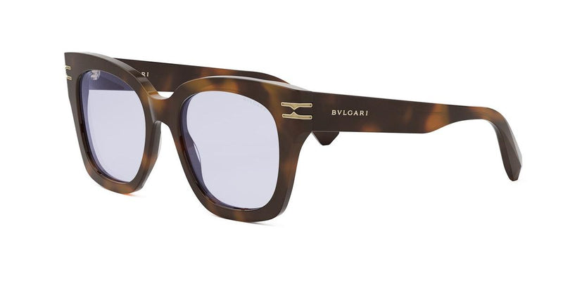053 - Acetate Shiny Havana