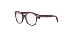 081 - Acetate Shiny Red / 