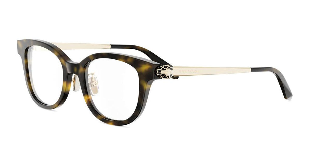 052 - Acetate Shiny Havana