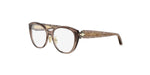 050 - Acetate Shiny Brown / 