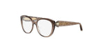 050 - Acetate Shiny Brown / 