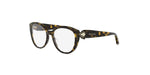 052 - Acetate Shiny Havana / 