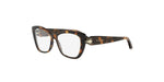 053 - Acetate Shiny Havana