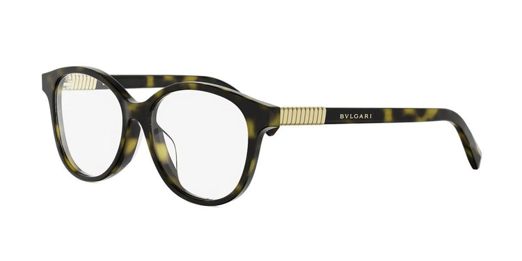052 - Acetate Shiny Havana