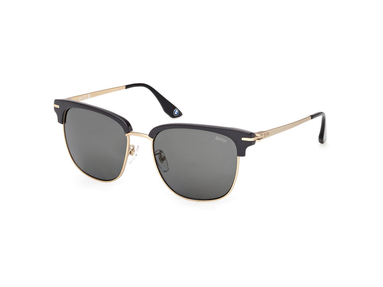 20D - Shiny Grey / smoke polarized