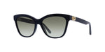 10A1 - Acetate Shiny Black / Smoke