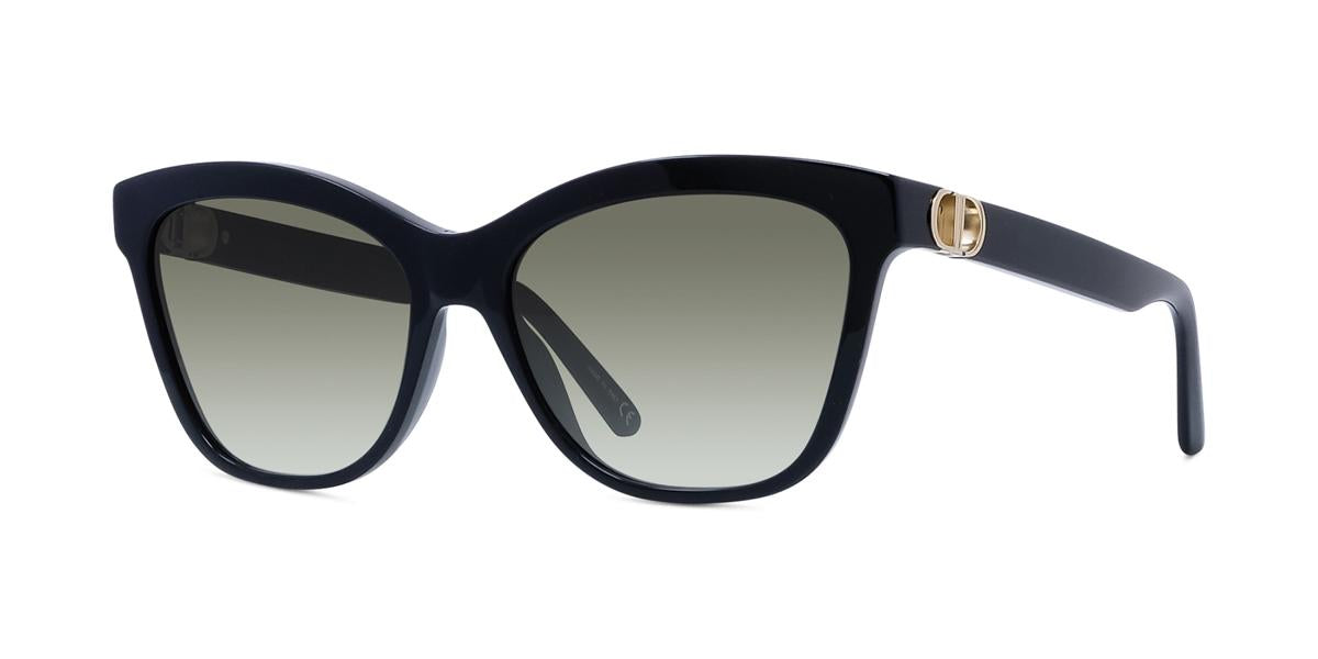 10A1 - Acetate Shiny Black / Smoke