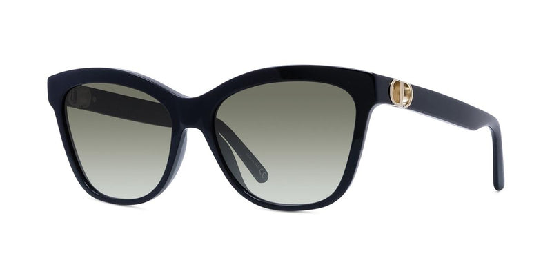 10A1 - Acetate Shiny Black / Smoke