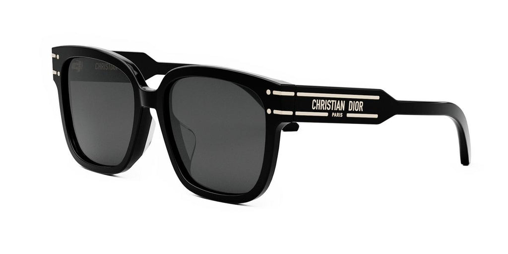 10A0 - Acetate Shiny Black / Smoke