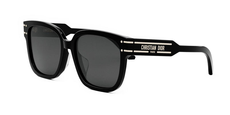 10A0 - Acetate Shiny Black / Smoke
