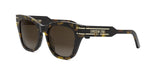 20F1 - Acetate Shiny Havana with Brown Gradient lenses / 
