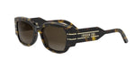20F1 - Acetate Shiny Havana with Brown Gradient lenses / 