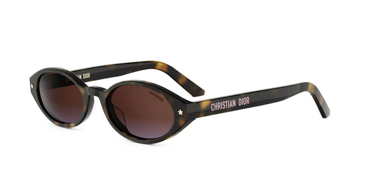 20N1 - Acetate Shiny Havana with Brown Gradient lenses