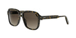 20F1 - Acetate Shiny Havana with Brown Gradient lenses