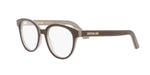 6400 - Acetate Shiny Brown / 