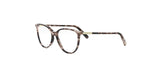 2500 - Acetate Shiny Havana / 