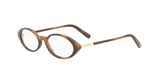 2600 - Acetate Shiny Havana / 