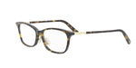 2000 - Acetate Shiny Havana with DEMO lenses / 