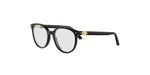 1000 - Acetate Shiny Black / 