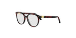 2500 - Acetate Shiny Havana / 