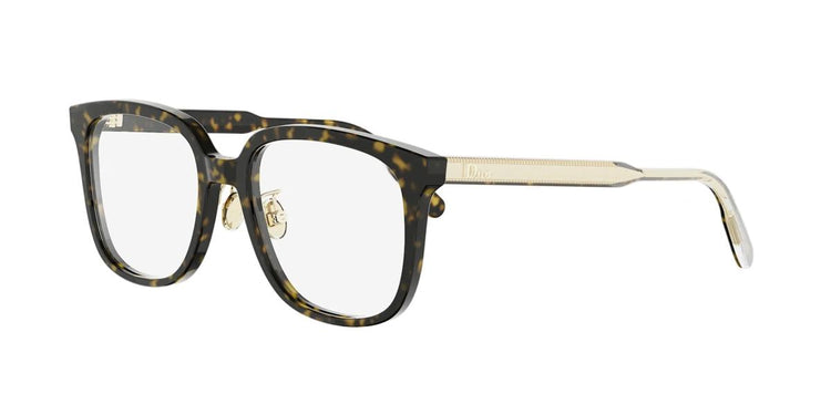2000 - Acetate Shiny Dark Havana