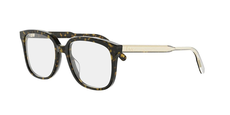 2000 - Acetate Shiny Dark Havana
