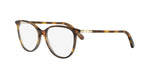 2600 - Acetate Shiny Havana / 