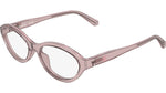 607 - TRANSPARENT ROSE / 