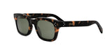 52N - Acetate Shiny Havana with Green Normal lenses / 