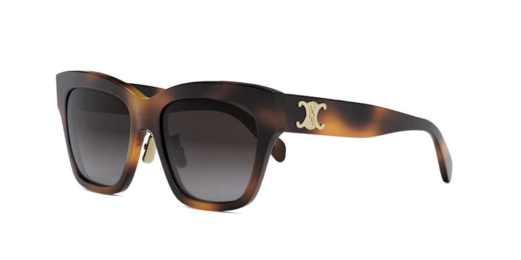 53K - Acetate Shiny Havana / Gradient Roviex