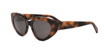53A - Acetate Shiny Havana with Grey Normal lenses / 