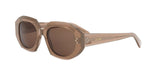 48E - Acetate Shiny Brown with Brown Normal lenses / 