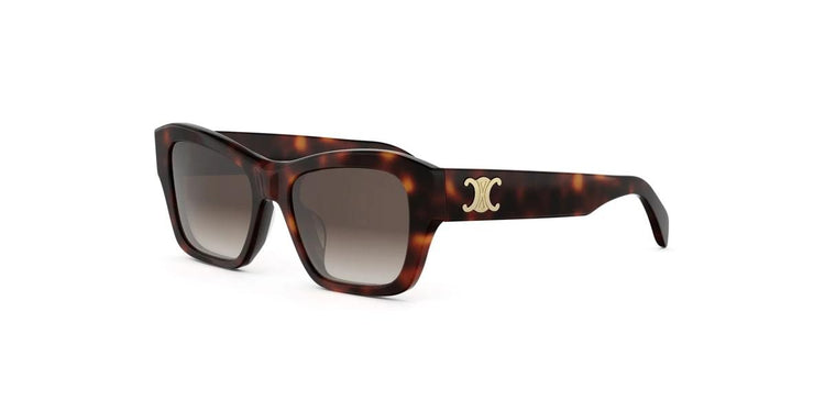 52F - Acetate Shiny Havana with Brown Gradient lenses