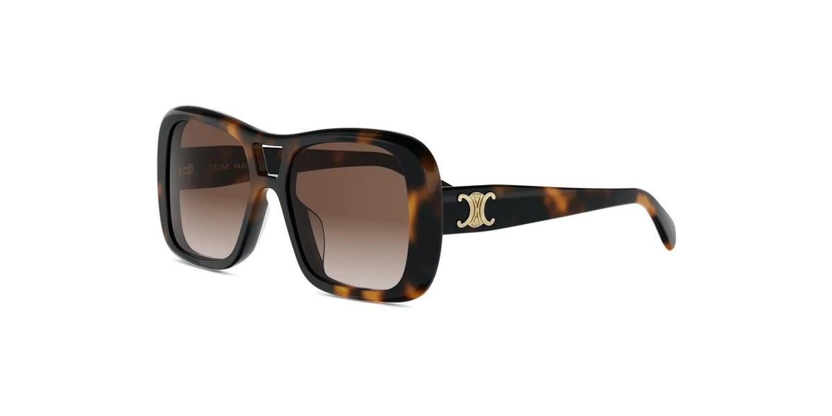 53F - Acetate Shiny Havana with Brown Gradient lenses
