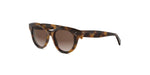53F - Acetate Shiny Havana with Brown Gradient lenses / 