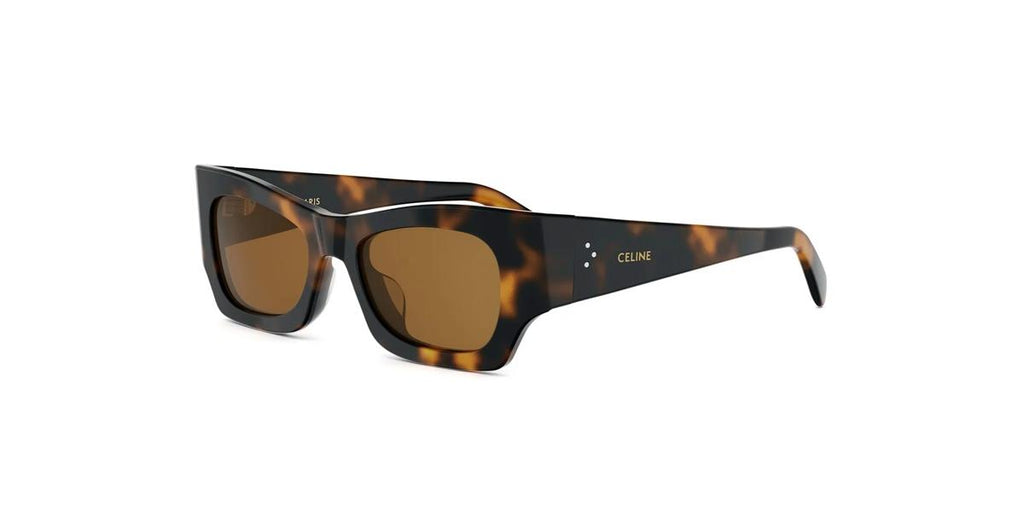 53J - Acetate Shiny Havana with Brown Normal lenses