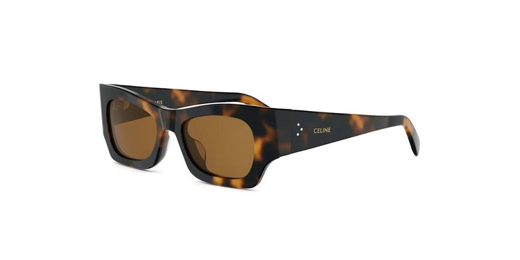 53J - Acetate Shiny Havana with Brown Normal lenses